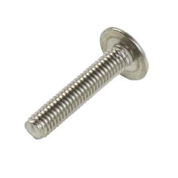 M6 x 30mm Flachrundschraube mit Schliz