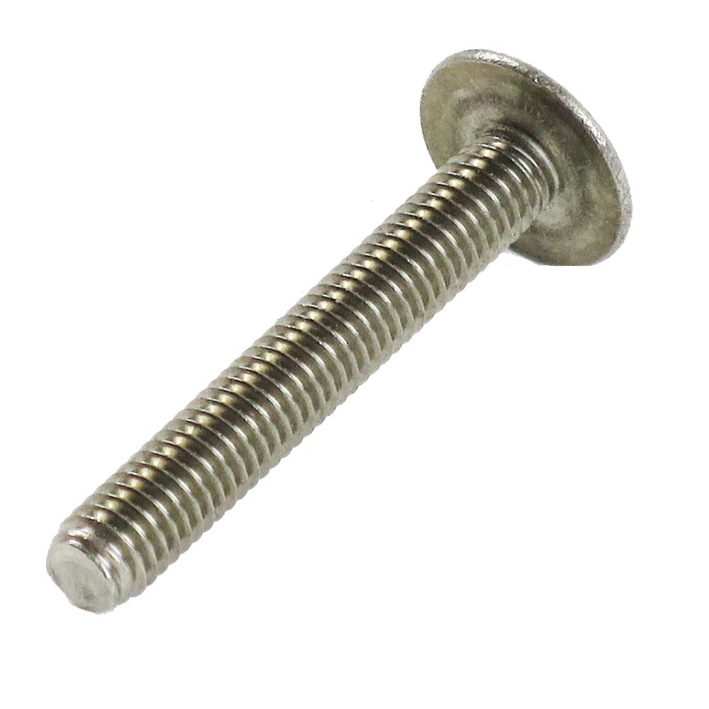 M6 x 40mm Flachrundschraube mit Schliz